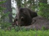 Bild 4 - Ude