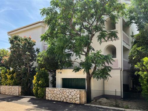 Holiday apartment - 4 persons -  - Mociscak - Pag - Novalja - 53291 - Novalja