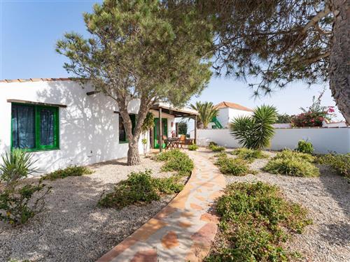 Sommerhus - 1 person -  - Chuchurumbache - 38617