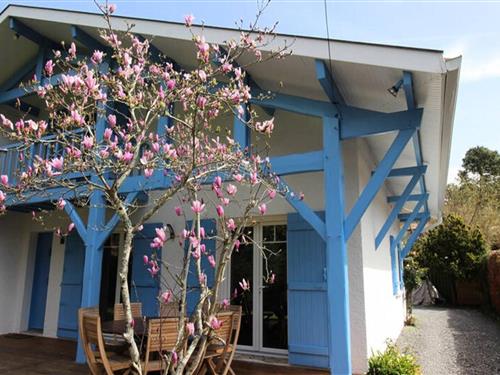 Sommerhus - 8 personer -  - 33950 - Lège-Cap-Ferret