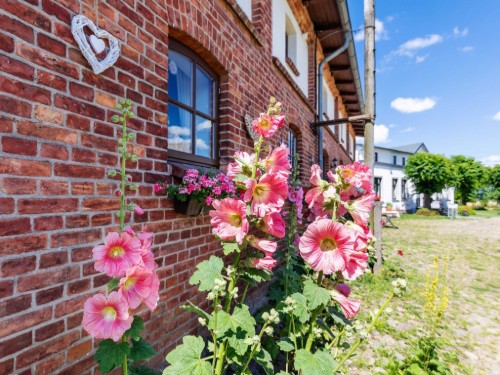 Bauernhof - 7 Personen -  - Dorfstraße - 18209 - Steffenshagen