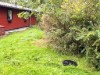 Bild 23 - Utsikt