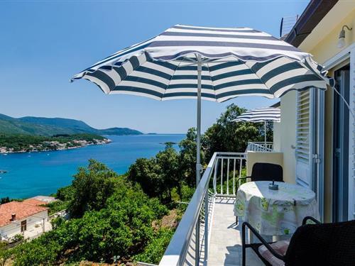 Ferielejlighed - 2 personer -  - Molunat - Dubrovnik-Molunat - 20215 - Gruda