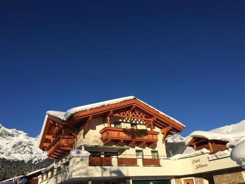 Holiday Home/Apartment - 8 persons -  - Krallerwinkl - 5761 - Maria Alm Am Steinernen M