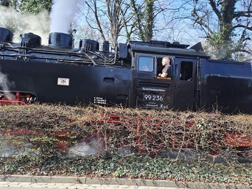 Holiday apartment - 4 persons -  - Unter den Zindeln - 38855 - Wernigerode