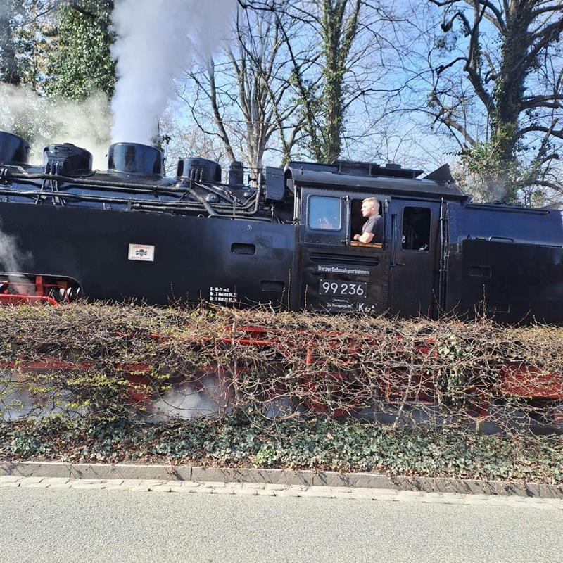 Ferielejlighed - 4 personer -  - Unter den Zindeln - 38855 - Wernigerode