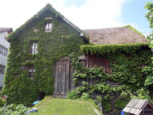 Holiday home - 8 persons -  - Oberschan - 9479