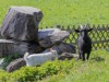 Image 105