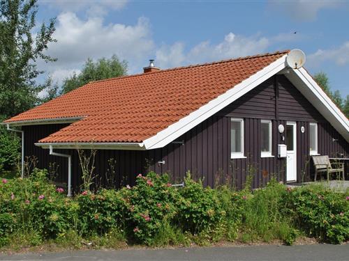 Sommerhus - 6 personer -  - Neu-Seeland - 21762 - Otterndorf