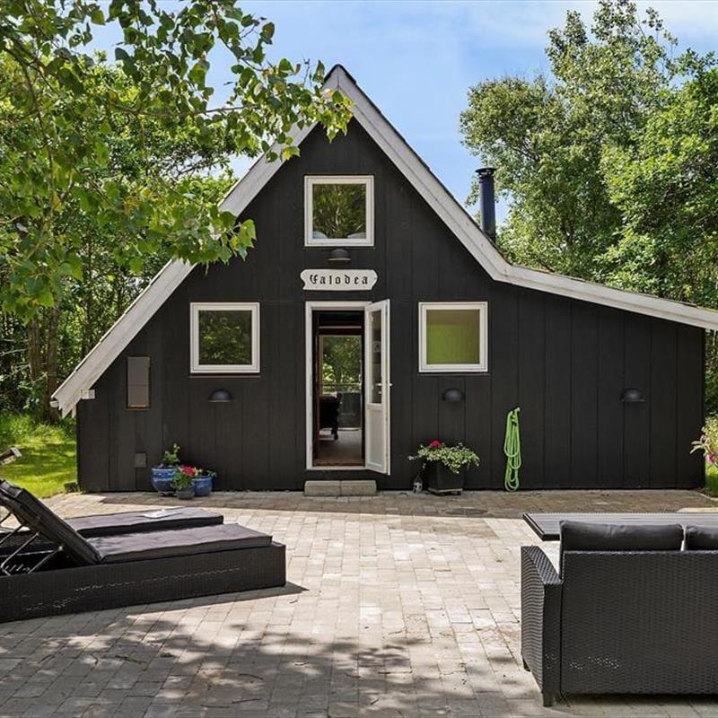 Ferienhaus - 4 Personen -  - Fyrrealle - Lodbjerg Hede - 6950 - Ringköbing