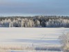 Bilde 16 - Inne