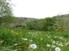 Image 32