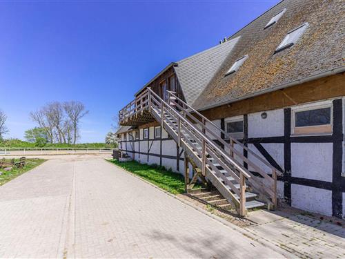 Holiday apartment - 4 persons -  - Ranzower Weg - 18551 - Lohme