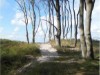 Bild 17