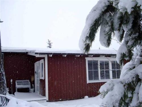 Ferielejlighed - 4 personer -  - Am Mühlenberg - 17375 - Mönkebude