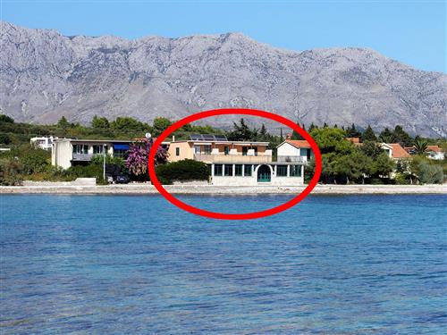 Holiday apartment - 6 persons -  - Cesminica - 21469 - Sucuraj