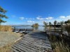 Bilde 10