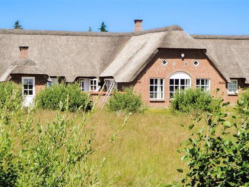 Sommerhus - 16 personer -  - Dommersøvej - Vedersø Klit - 6990 - Ulfborg