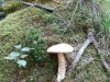Image 11 - Outside