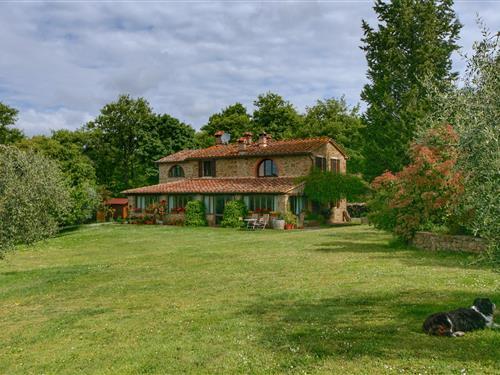 Sommerhus - 8 personer -  - 52046 - Lucignano