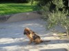 Image 38 - Outside