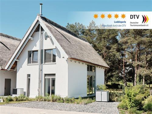 Sommerhus - 6 personer -  - Nauteweg - 17459 - Loddin