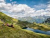Bild 38