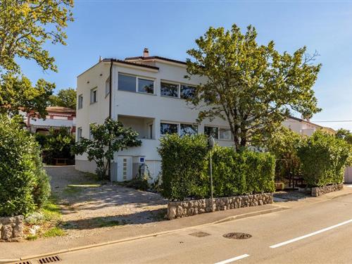 Holiday apartment - 5 persons -  - Kralja Tomislava - Krk-Njivice - 51512 - Njivice