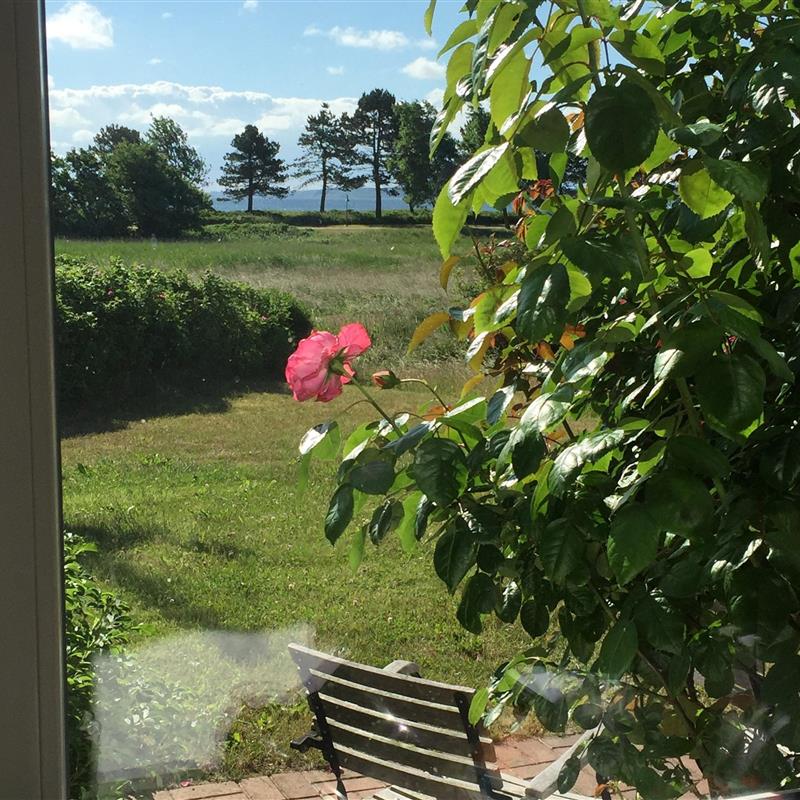 Sommerhus - 7 personer -  - Holnisser Strandweg - 24960 - Glücksburg