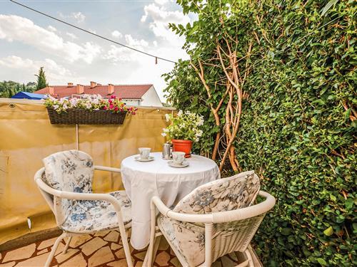 Ferielejlighed - 3 personer -  - Bogisiceva Tiha - Dubrovnik-Cavtat - 20210 - Cavtat