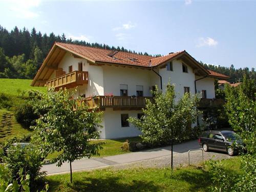 Holiday Home/Apartment - 2 persons -  - Zechenstraße - 93462 - Lam