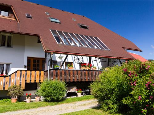 Holiday Home/Apartment - 5 persons -  - Laitenbach - 79695 - Wieden