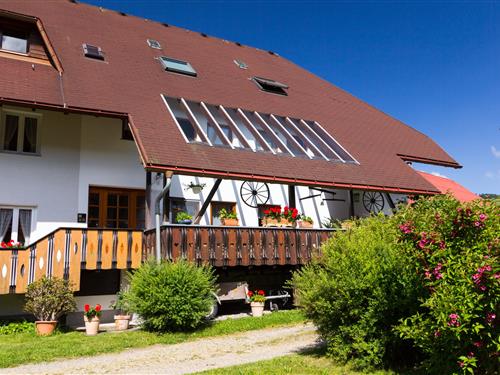 Ferielejlighed - 5 personer -  - Laitenbach - 79695 - Wieden