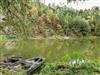 Bild 36 - Aussen