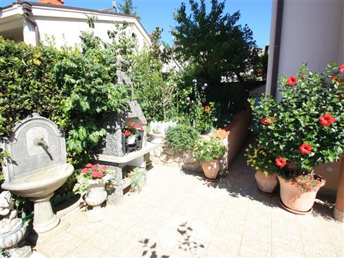 Ferieleilighet - 5 personer -  - Selce - 51266