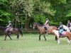 Billede 16