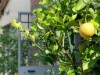 Bild 9 - Aussen