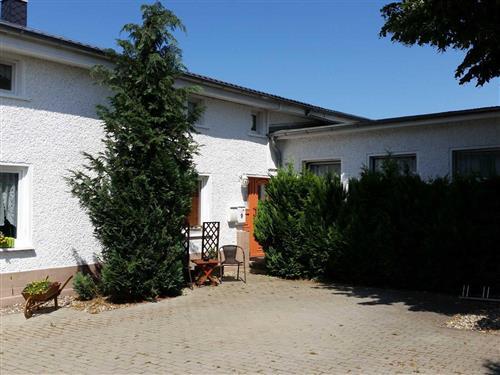 Ferienhaus - 2 Personen -  - günstig, Fahrräder zum Ausleihen, Ostsee-Nähe - 18107 - Elmenhorst-Lichtenhagen