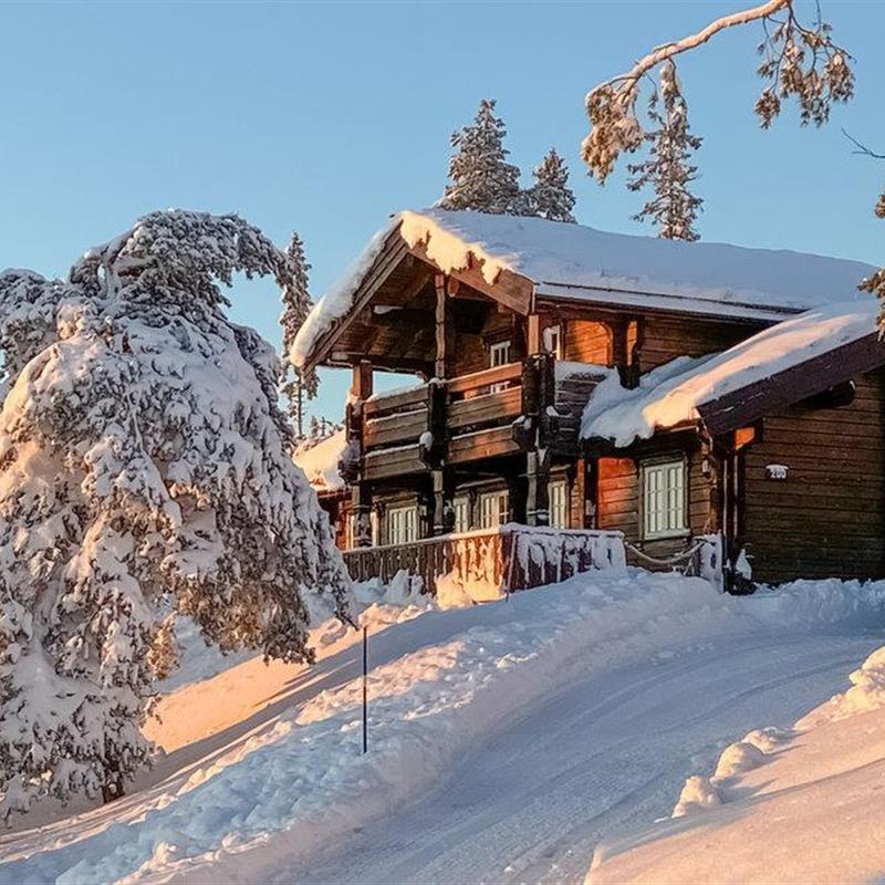 Sommerhus - 9 personer -  - Stemtjønnvegen - Kyrkjebygdheia/Treungen - 3854 - Nissedal