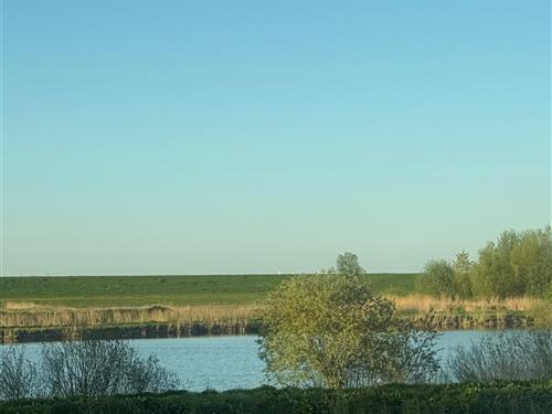 Ferieleilighet - 2 personer -  - Buchenstraße - 26844 - Jemgum