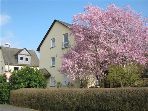 Holiday Home/Apartment - 2 persons -  - Am Mönchelskopf - 56253 - Treis-Karden