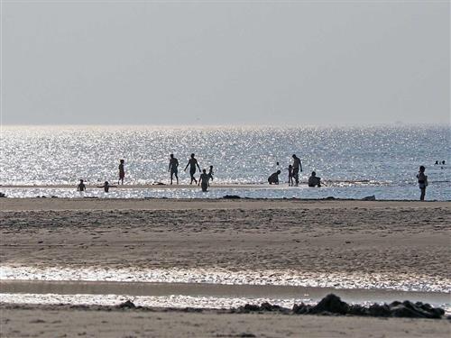 Ferielejlighed - 3 personer -  - Norderdeich - 25826 - St. Peter-Ording