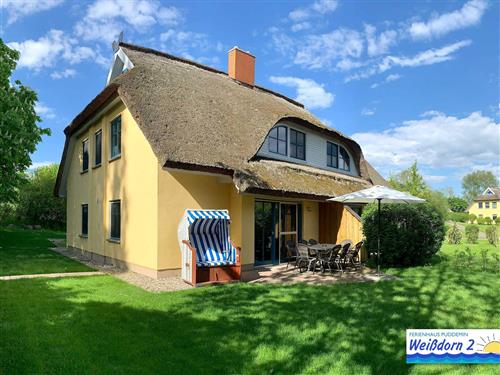 Feriesenter - 9 personer -  - Puddemin - 18574 - Poseritz / Puddemin