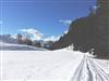 Billede 17 - Ude
