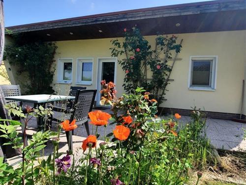 Ferienhaus - 4 Personen -  - am Kanal - 17166 - Dahmen