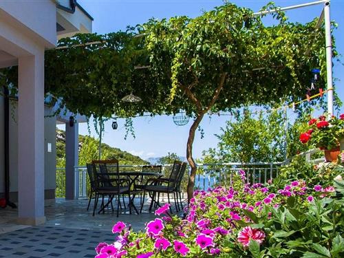 Ferielejlighed - 4 personer -  - Osobjava - 20246 - Osobjava