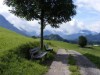 Bild 31