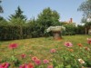 Bild 17
