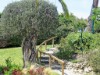 Image 21 - Outside