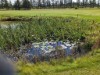 Billede 25 - Udsigt over vand